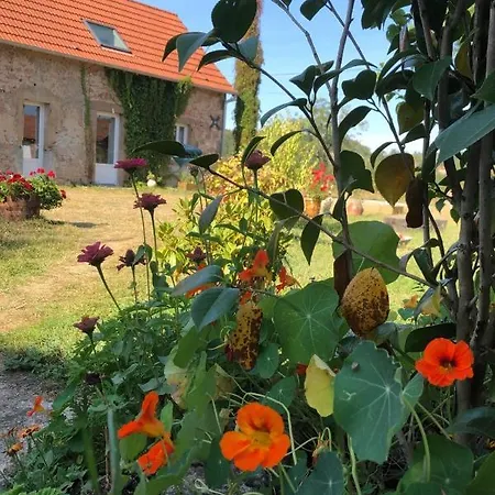 Feu ゲストハウス