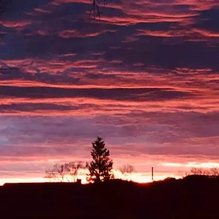 ゲストハウス Feu Droiturier